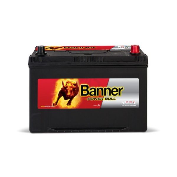 Batterie Banner - 95 AH/740A - 59 533